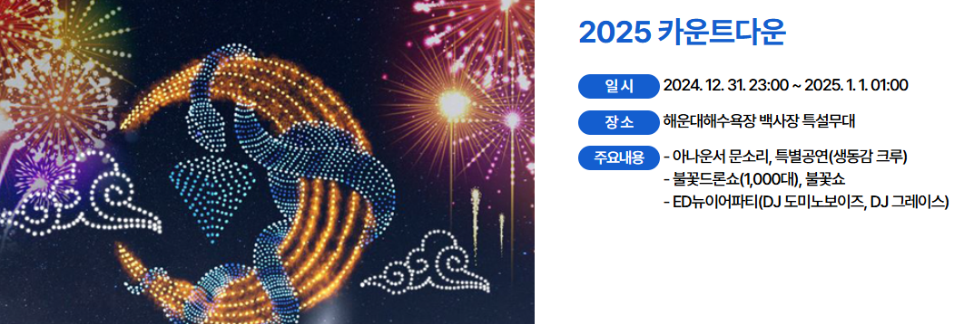 2025 카운트다운 행사