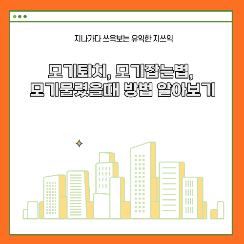  모기퇴치, 모기잡는법, 모기물렸을때 방법 알아보기
