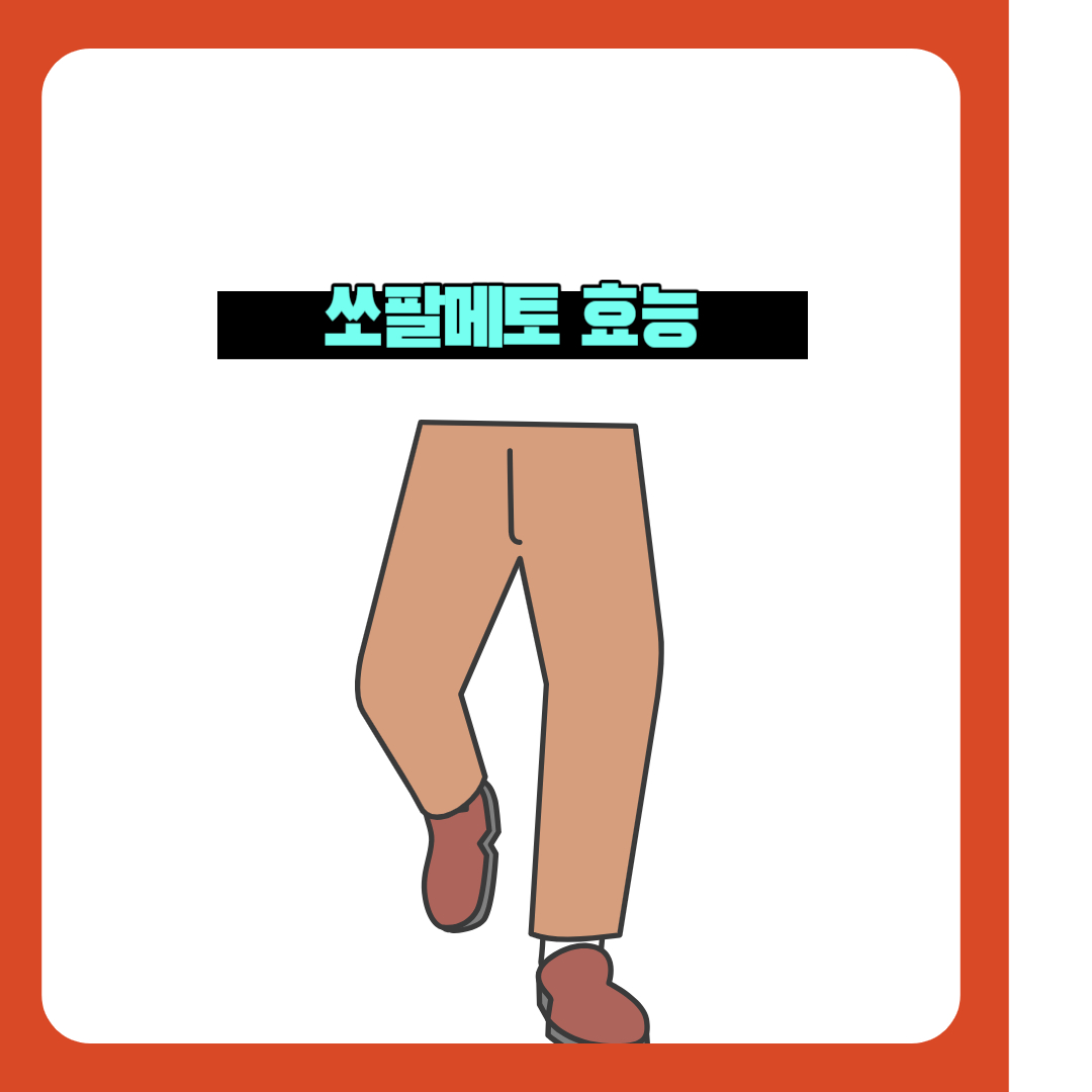  전립선 영양제 쏘팔메토 효능과 증상 관련 연구