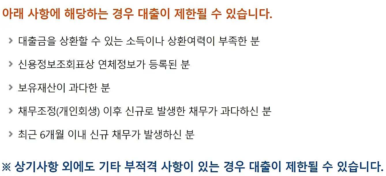 비-대면-간편-정부-지원-대출-제한-대상