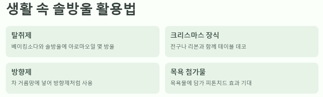 생활 속 솔방울 활용법 예시