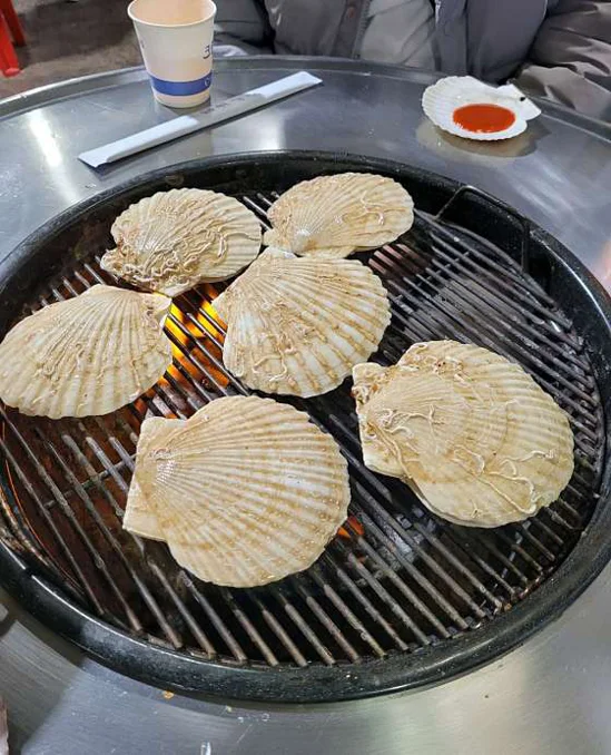 모녀가리비