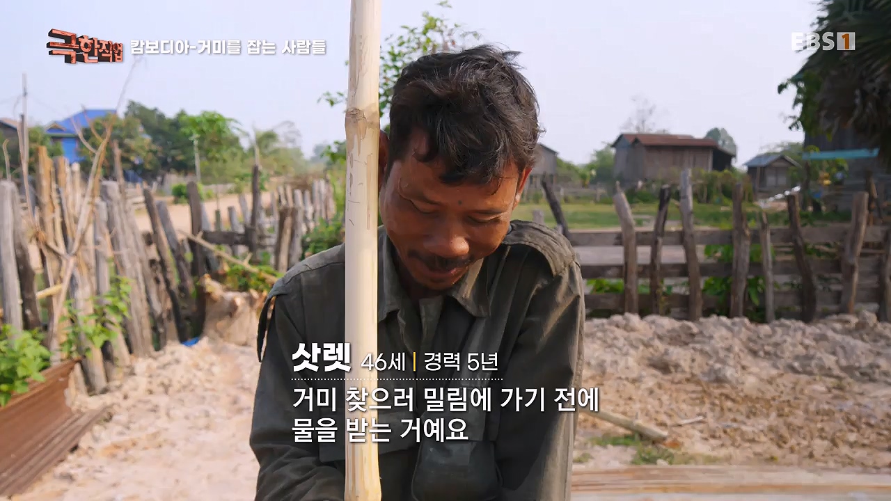 TV - 전 국민의 평생학교 EBS캄보디아 - 독충을 잡는 사람들.mp4_20230501_173356.421.jpg