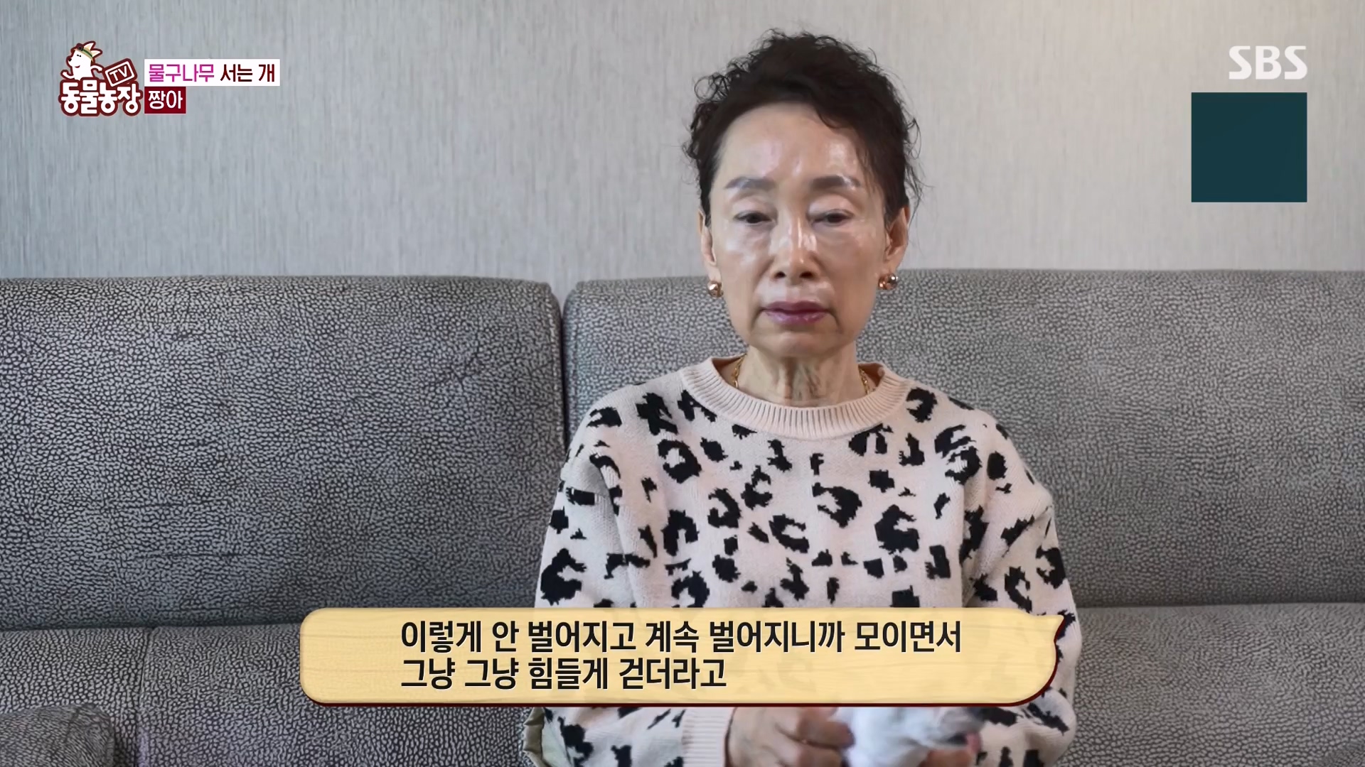 TV 동물농장.E1157.240204p-NEXT.mp4_20240204_172410.008.jpg