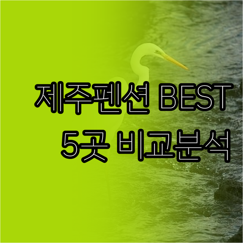 제주도 펜션 추천 5곳 비교분석 가격