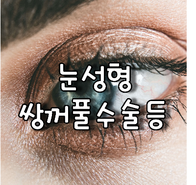 서양인 눈동자