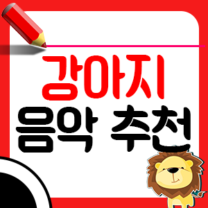 강아지가 좋아하는 음악 6가지1
