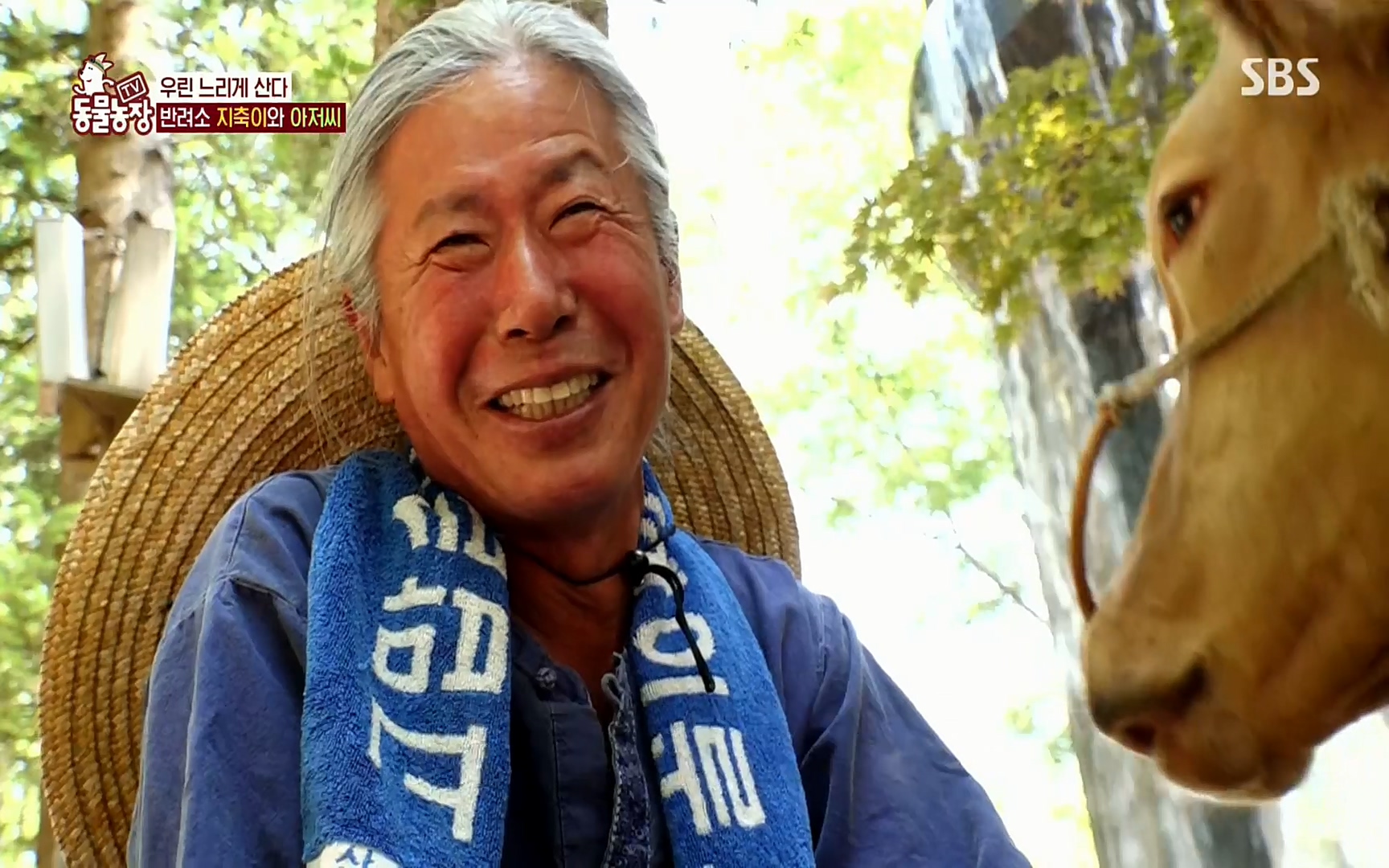 TV 동물농장.E1074.220619p.H264-F1RST.mp4_20220619_182126.108.jpg
