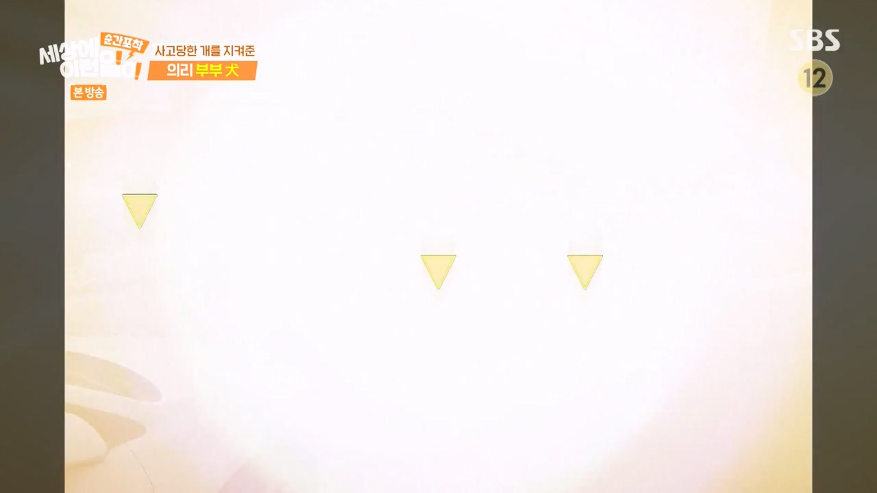 순간포착 세상에 이런일이.E1254.231203p-NEXT.mp4_20231203_140542.133.jpg
