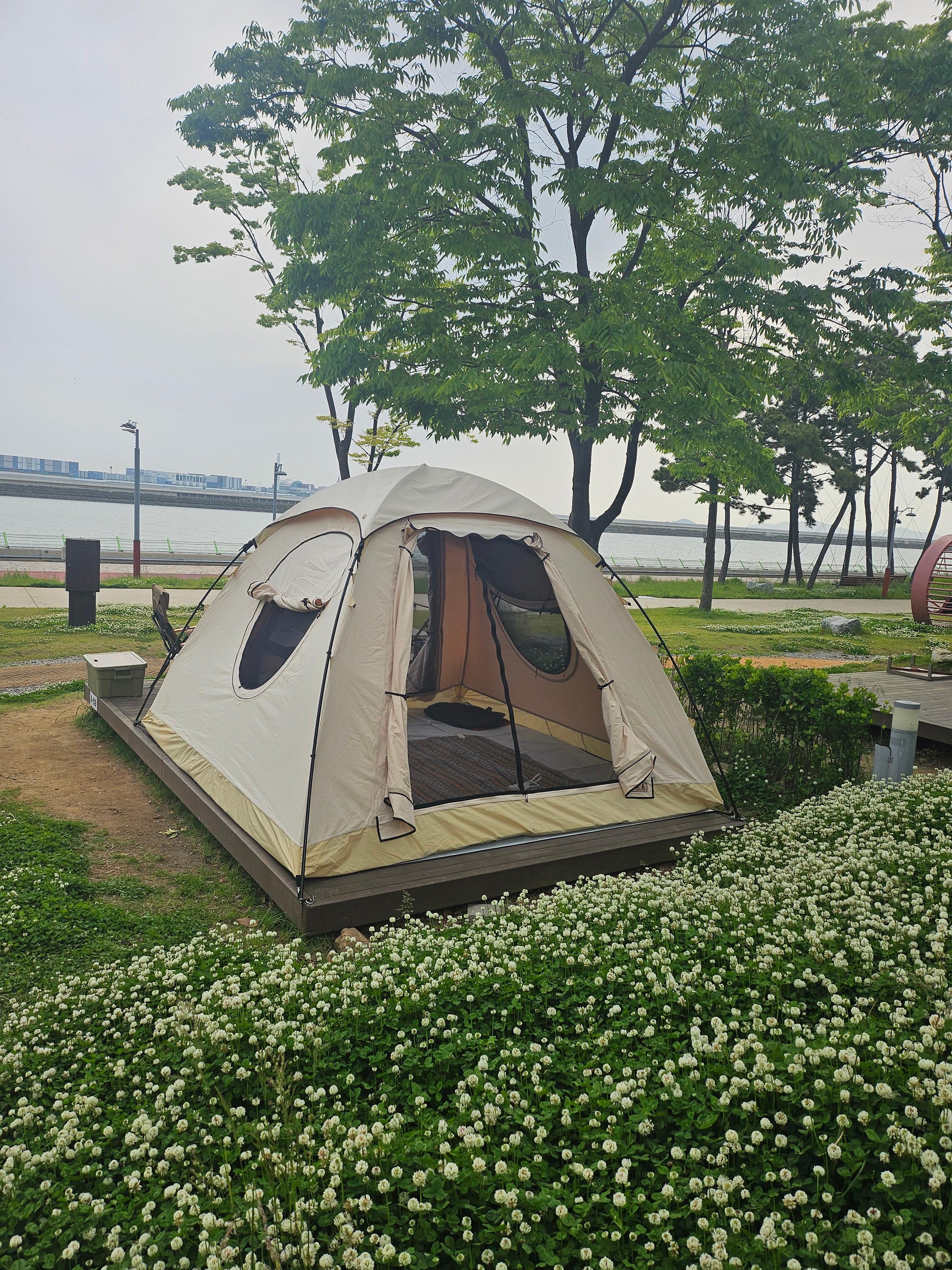 송도국제캠핑장 예약방법