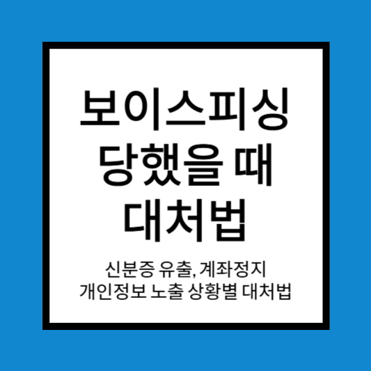 보이스피싱 당했을때