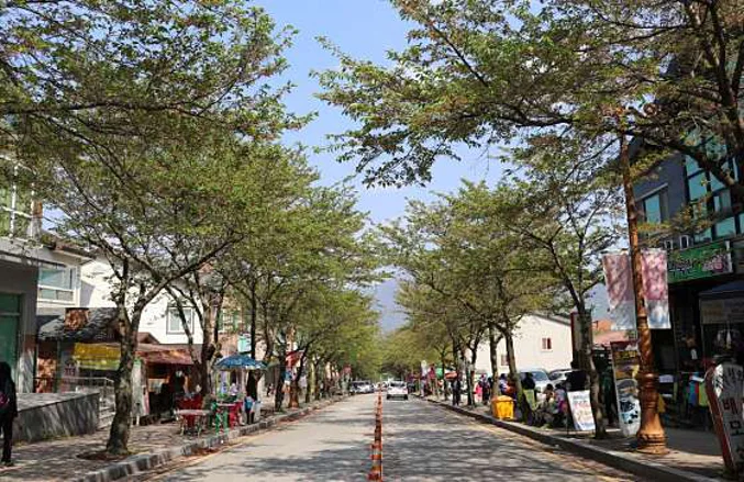 모악산도립공원