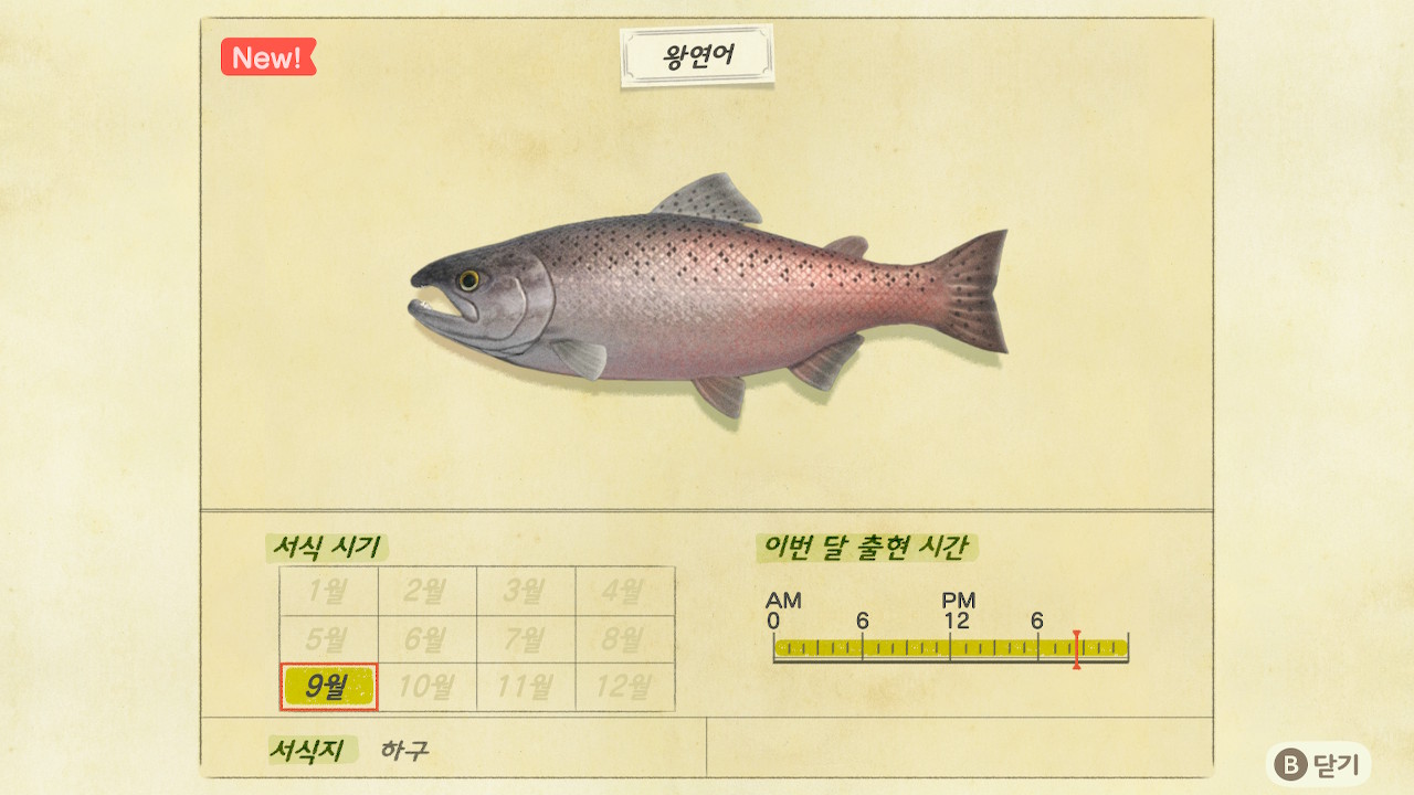 동물의 숲 9월 업데이트 이벤트 (곤충, 물고기 등 도감정보) 동물의 숲 9월 업데이트 이벤트 (곤충, 물고기 등 도감정보)