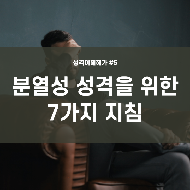  상담, 성격 이해하기 #5 분열성 성격을 위한 7가지 지침