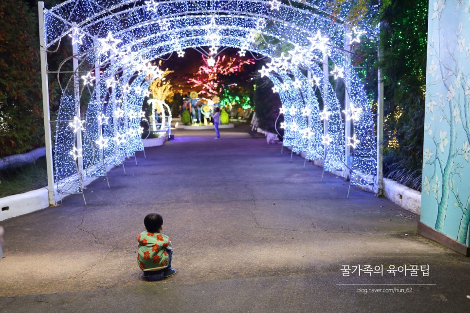 경북 축제 경북 아이와가볼만한곳 청도 56