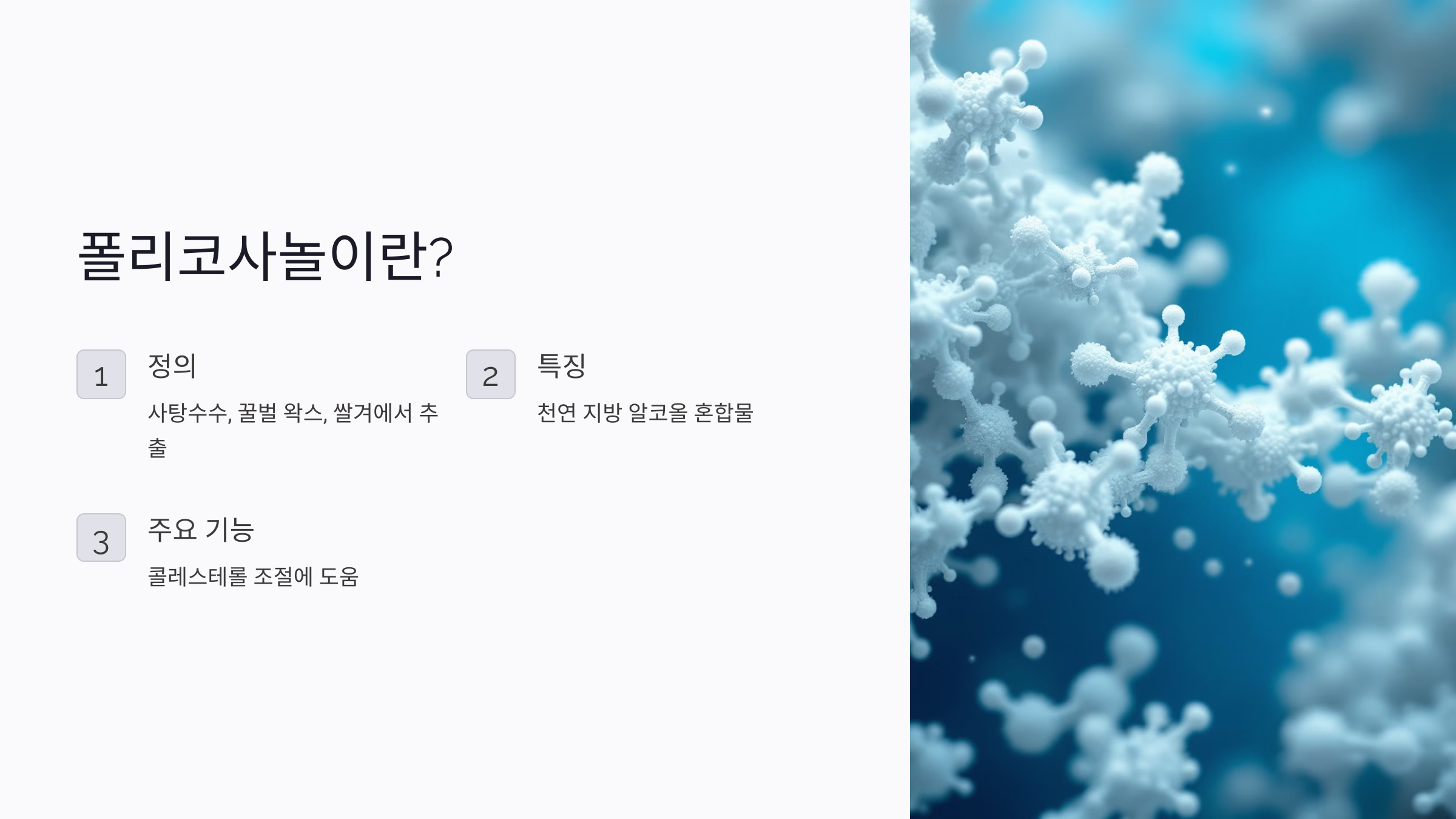 폴리코사놀의 효능 부작용 복용법