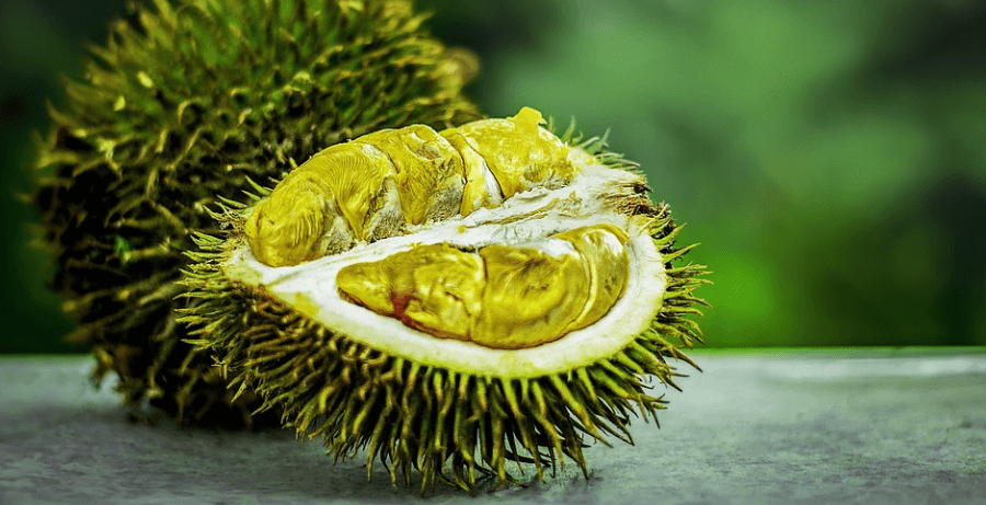 과일 두리안 사진 - 13