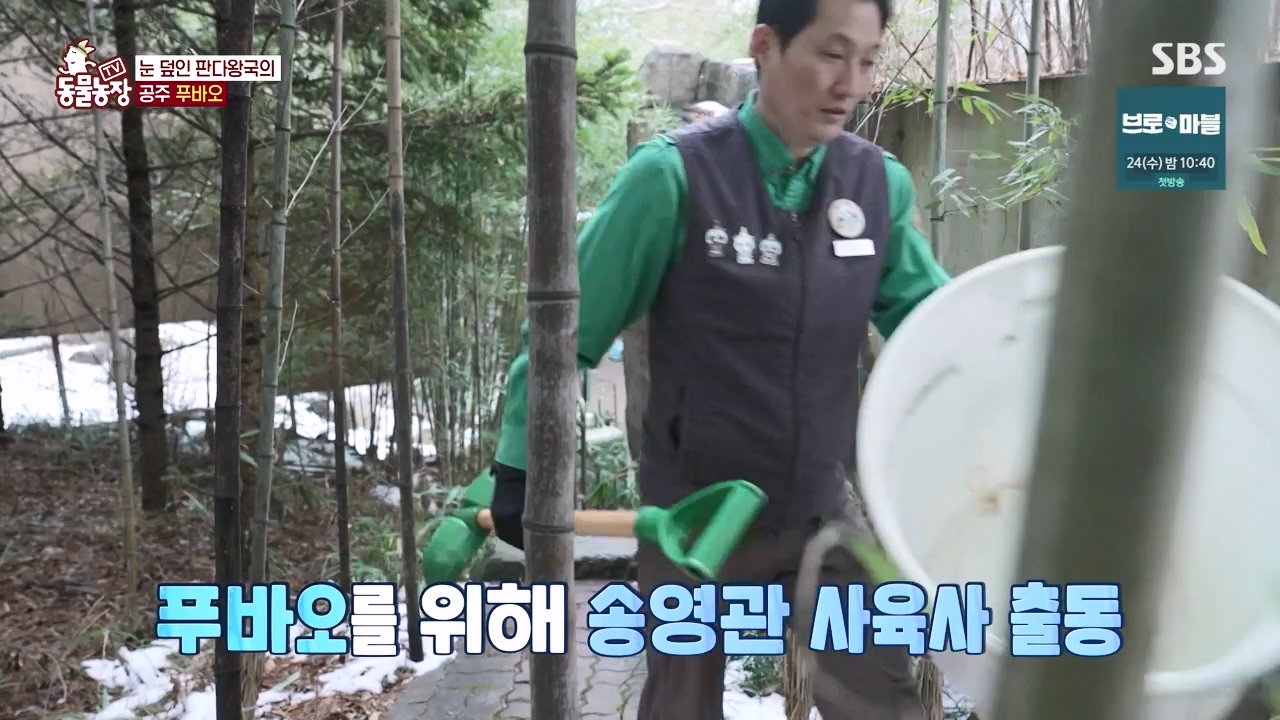 TV 동물농장.E1155.240122p-NEXT.mp4_20240121_145936.029.jpg