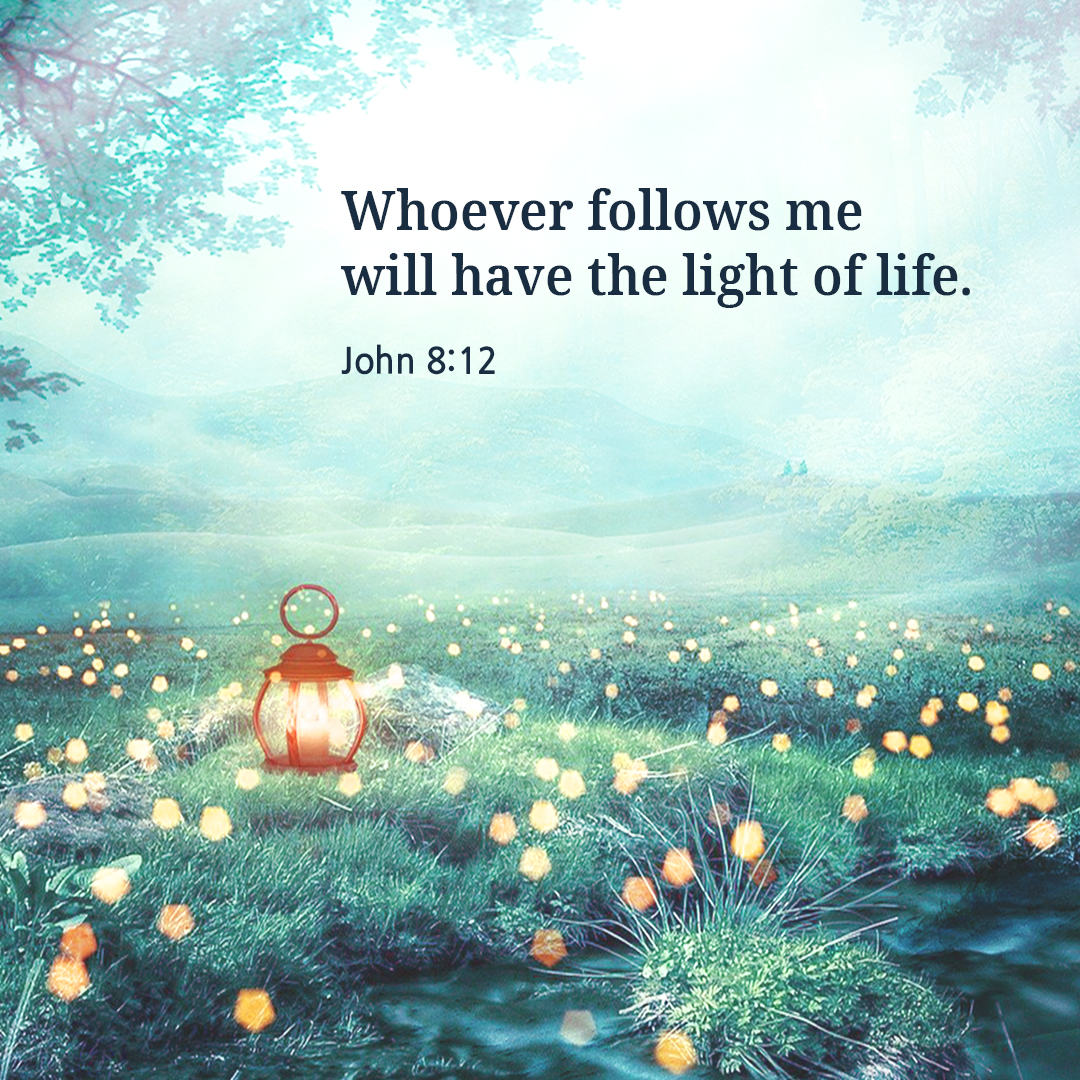 Whoever follows me will have the light of life. (John 8:12)