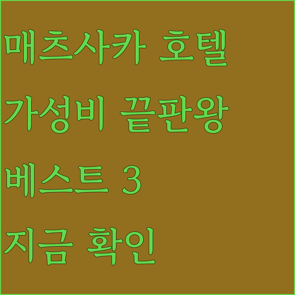 가성비 끝판왕 매츠사카 호텔 베스트 