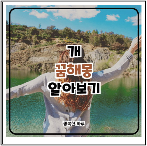  개 꿈해몽 알아보기