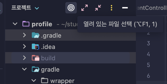 intelliJ 열려 있는 파일 선택