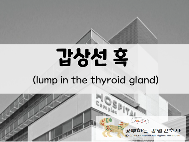 건강 정보_갑상선 혹(lump in the thyroid gland)원인, 증상, 크기, 위치, 제거 수술