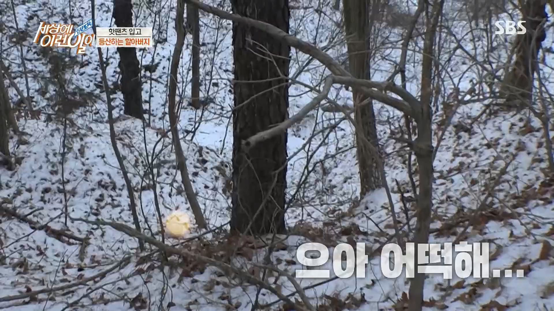 순간포착 세상에 이런일이.E1212.230103p.H264-F1RST.mp4_20230105_192340.082.jpg
