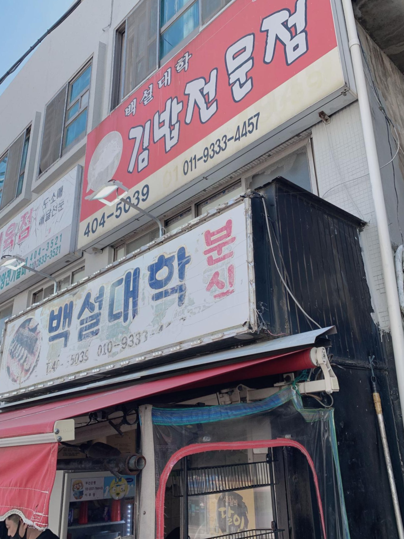 백설대학