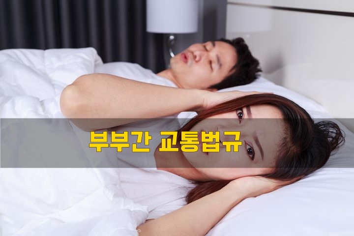  부부간 교통법규