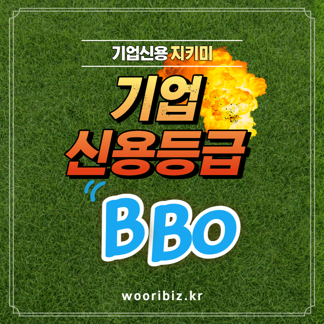  기업신용평가 등급 BB 도전, 실패에서 성공까지