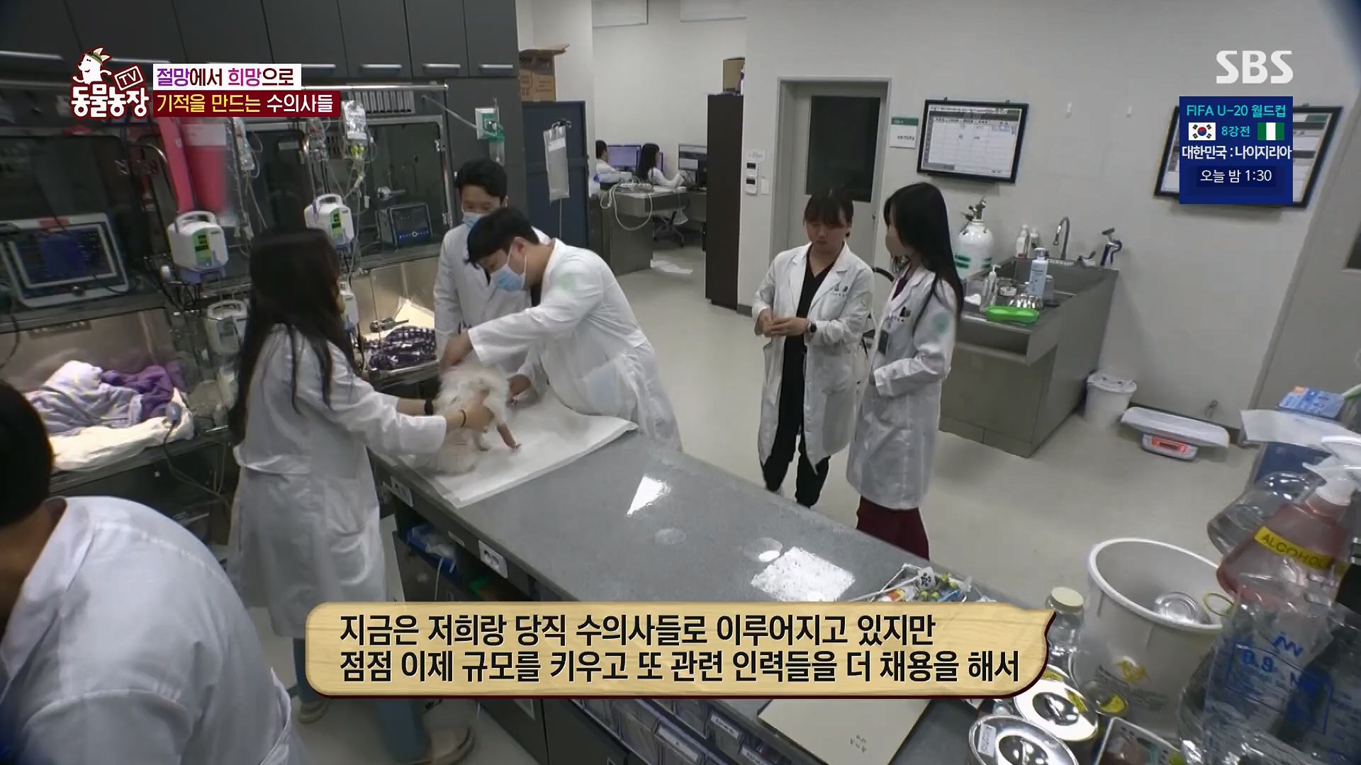 TV 동물농장.E1123.230604p.H264-F1RST.mp4_20230604_173310.672.jpg