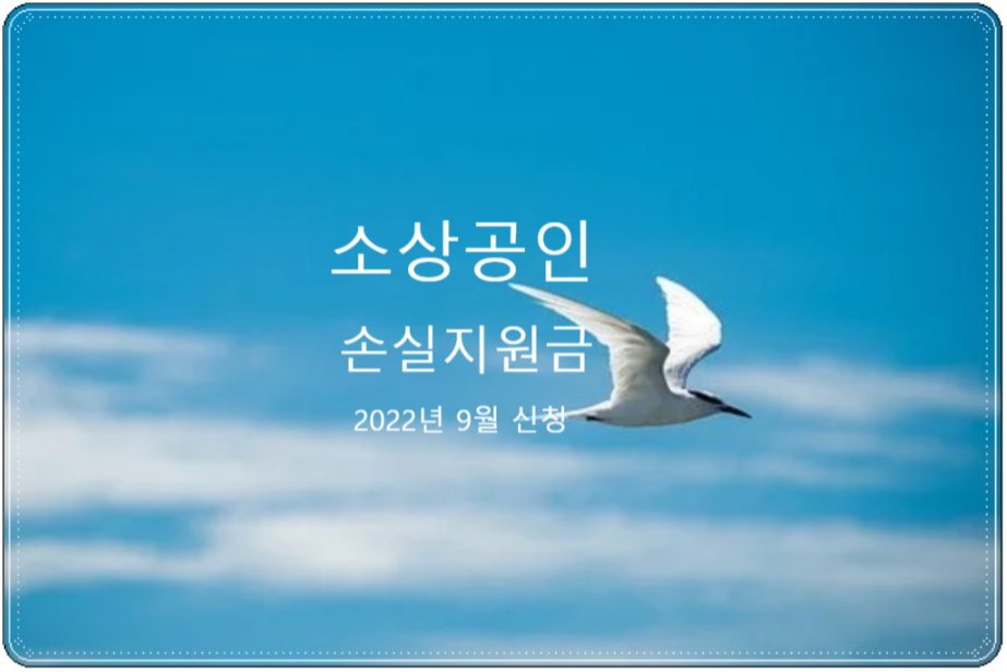  소상공인 손실지원금 신청시기와 신청대상