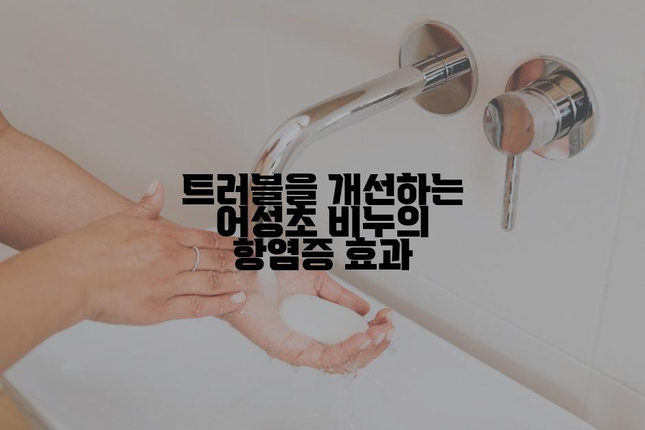 트러블을 개선하는 어성초 비누의 항염증 효과