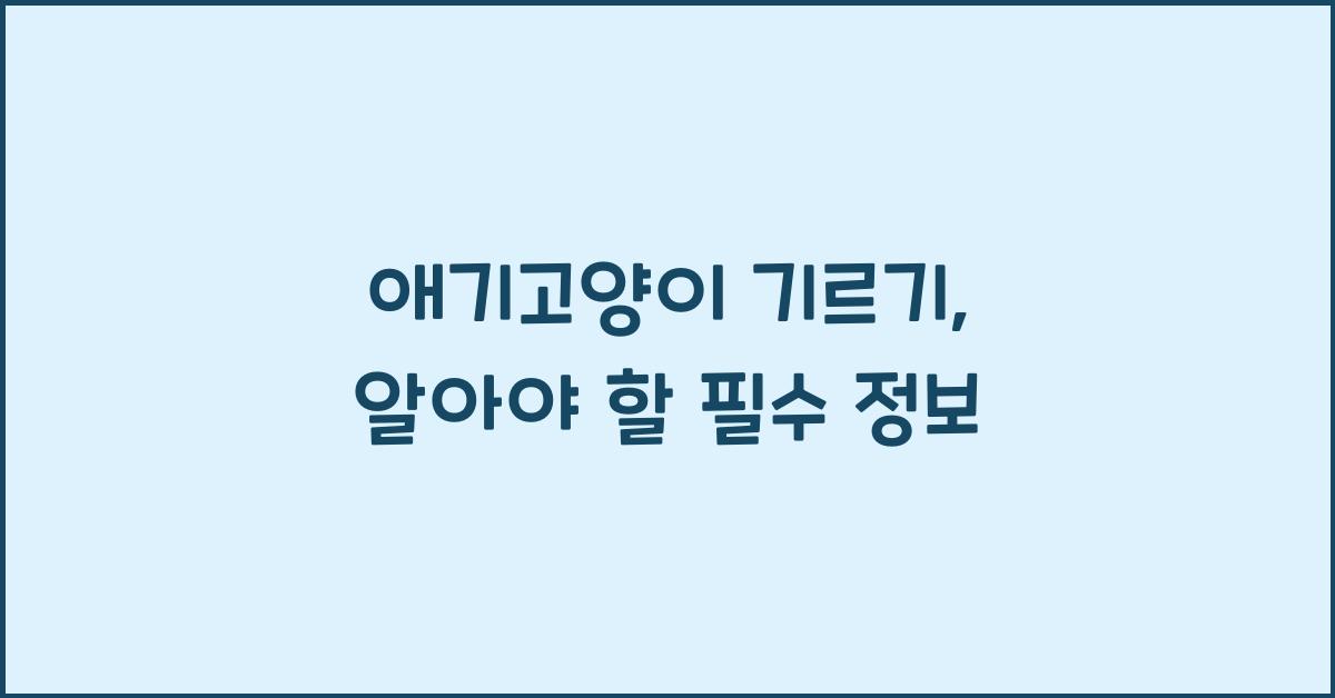 애기고양이