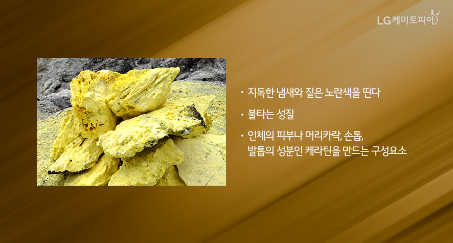 원솔 이미지
