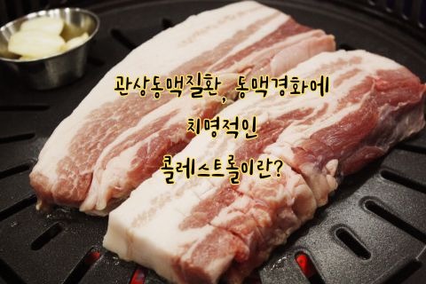 관상동맥질환&#44; 동맥경화에 치명적인 콜레스트롤이란?