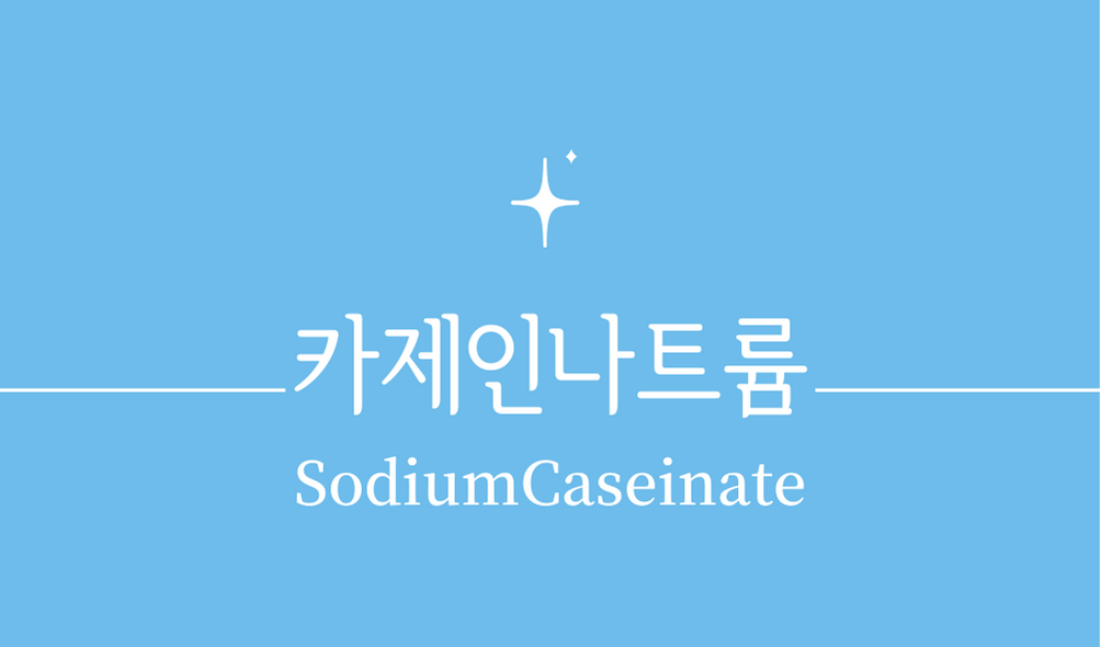 &#39;카제인나트륨(SodiumCaseinate)&#39;