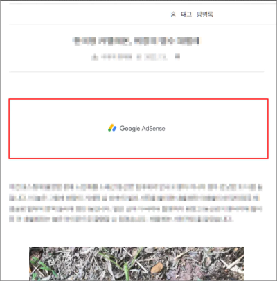  티스토리 블로그에서 애드센스 광고가 안 나오는 경우