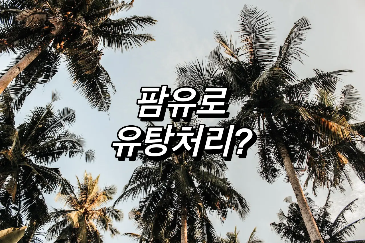 유탕처리제품