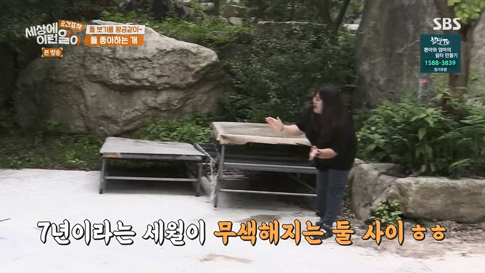 순간포착 세상에 이런일이.E1234.230624p.H264-F1RST.mp4_20230626_211153.659.jpg