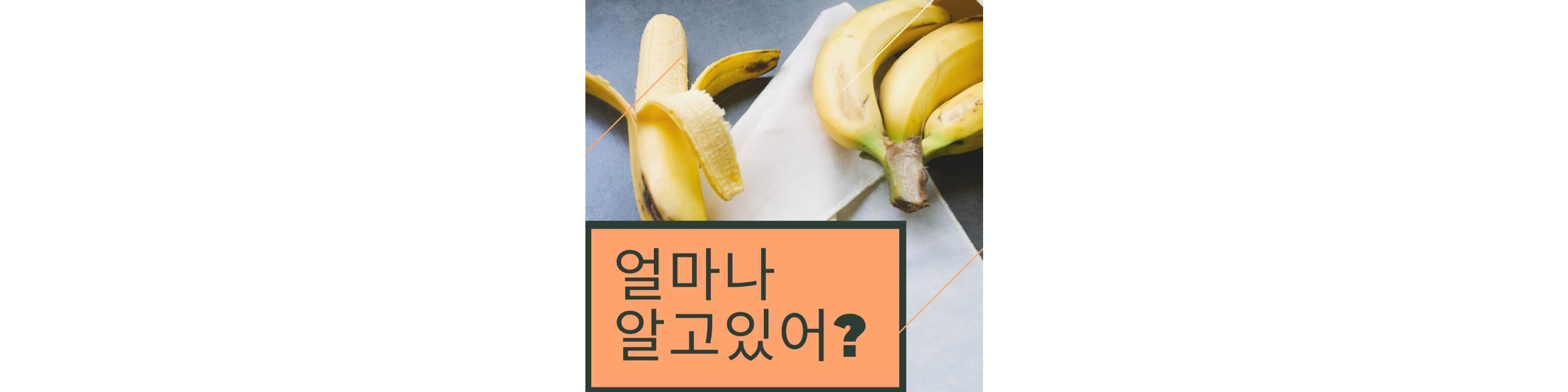 섬네일