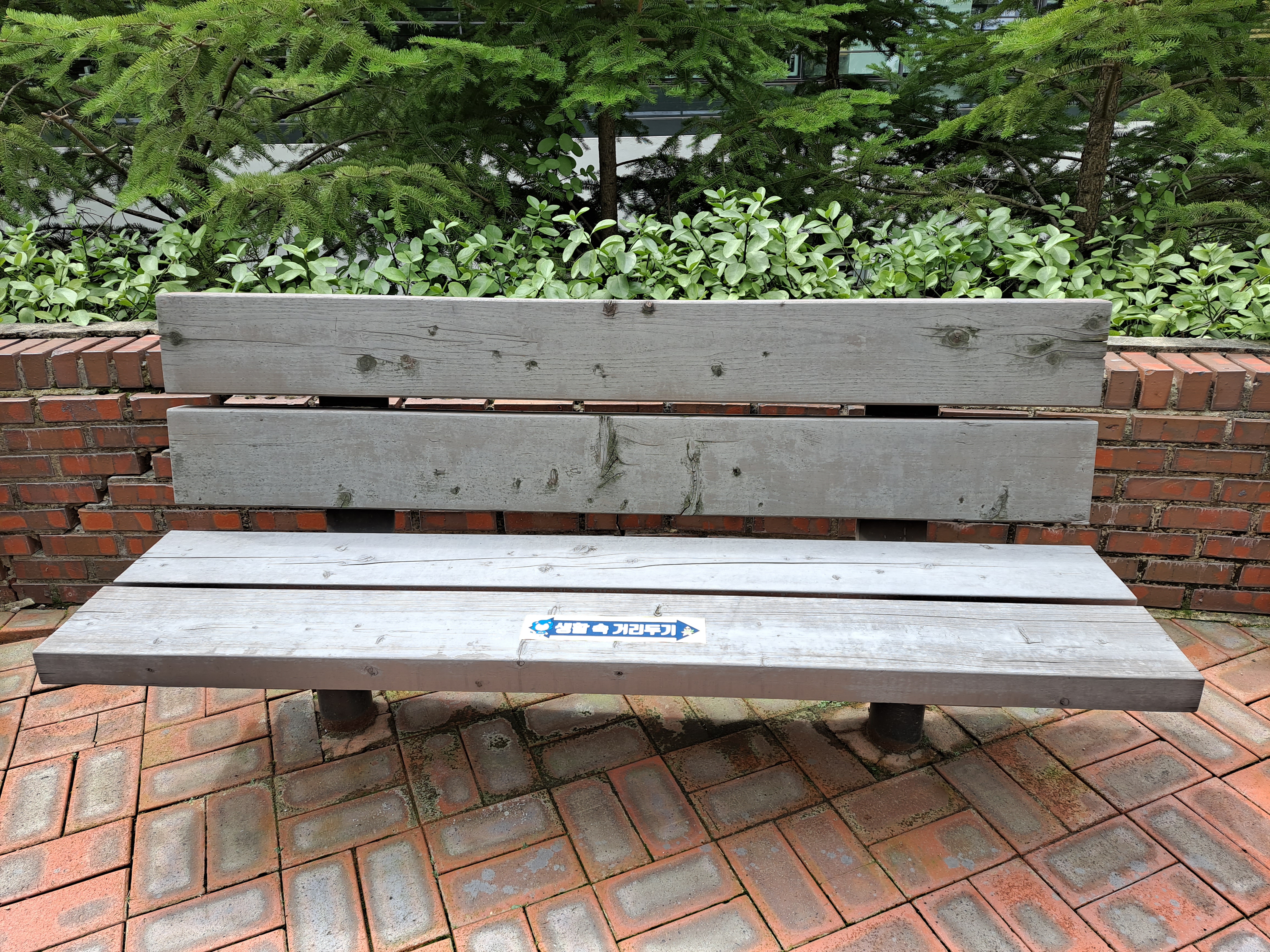 지인용 이미지