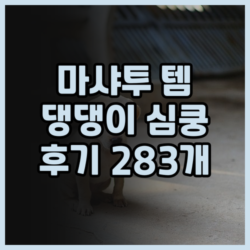 마샤투 무당벌레 장식품, 댕댕이도 반