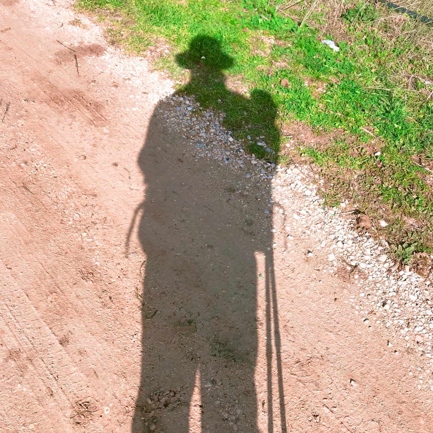  [Overseas Travel]Camino de Santiago Travel journal(Day 6)_산티아고 순례길(레이나~에스텔라)