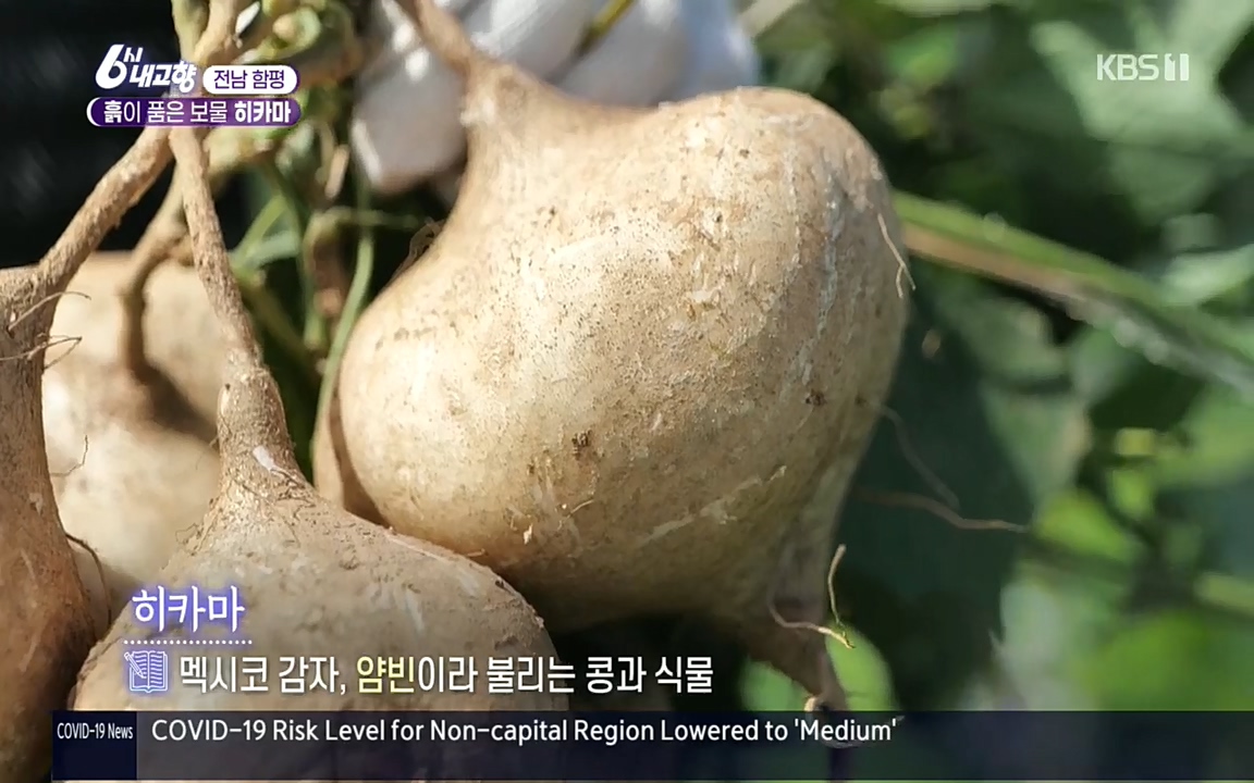 6시 내고향.E7617.220915p.H264-F1RST.mp4_20220916_204624.156.jpg