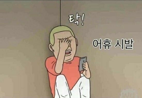  코인 짤