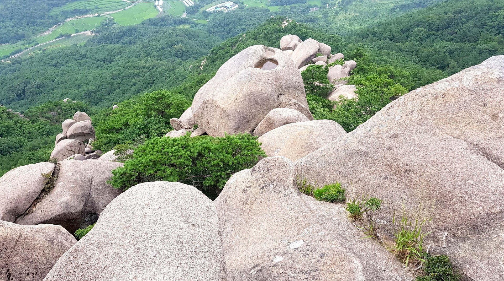 경남 산청 감암산 금샘