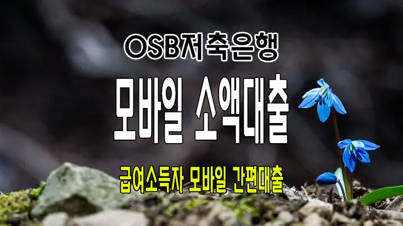 직장인 소액대출 OSB저축은행 신용대출