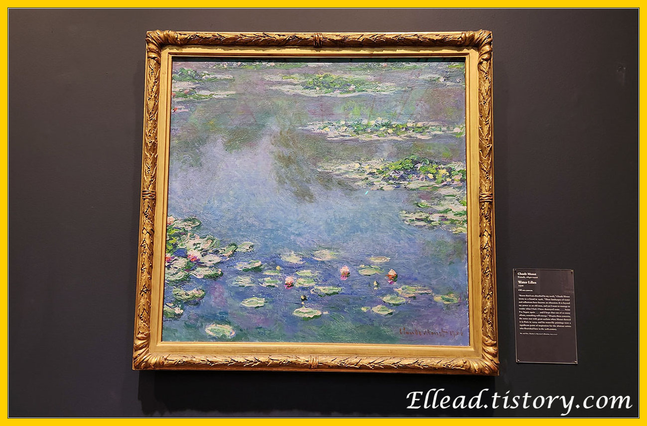  <시카고 미술관> 모네 작품 전시실 : 수련(water lily), 붓꽃(iris)